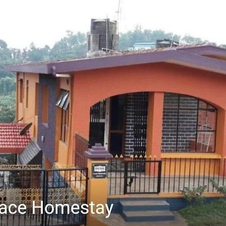 מדיקרי Honey Palace Homestay מראה חיצוני תמונה
